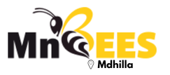 MnBees Gafsa - Mdhilla